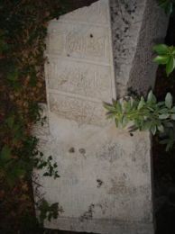 clip_image002